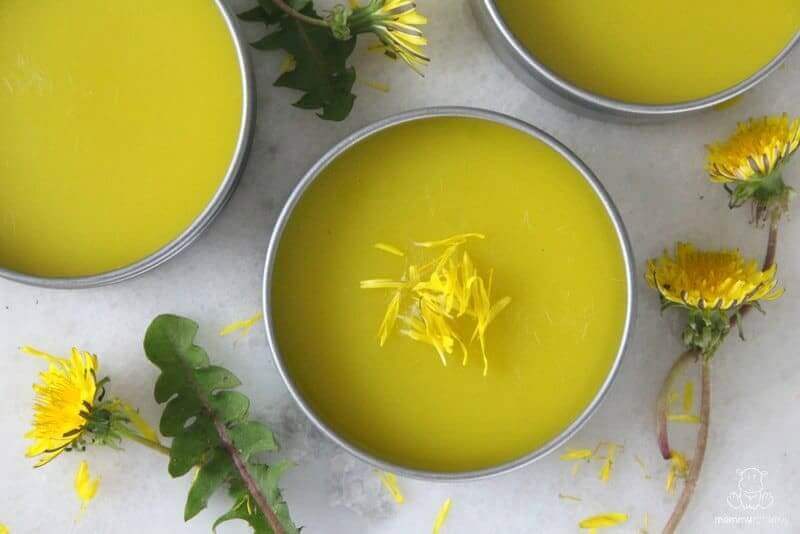Dandelion Salve
